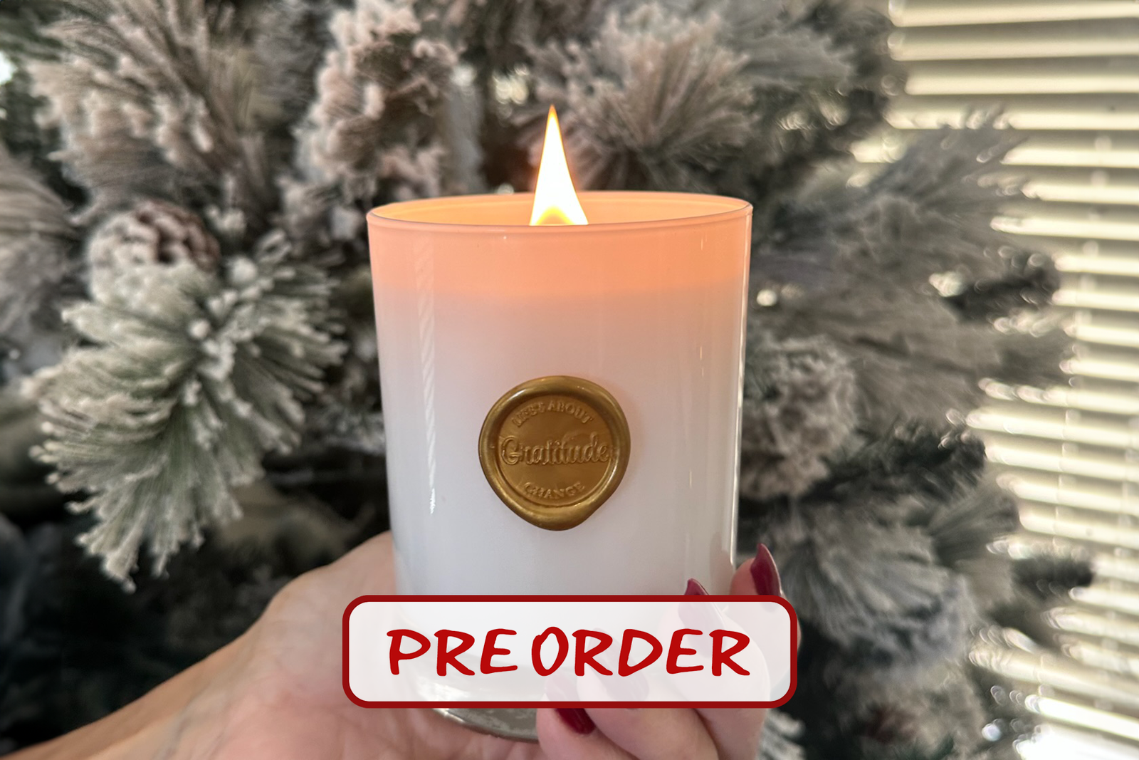 *Preorder* Gratitude