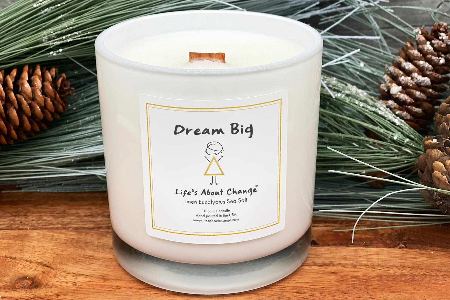 *Preorder* Dream Big